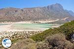 Balos beach Crete - Greece - Balos - Gramvoussa Area Photo 67 - Photo GreeceGuide.co.uk