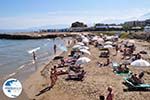 beach near Starbeach and Meltemi - Hersonissos - Heraklion Prefecture Crete - Photo GreeceGuide.co.uk