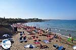 beach Starbeach Chersonissos - Beach Starbeach Hersonissos Photo 13 - Photo GreeceGuide.co.uk