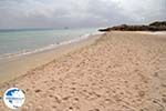 Sandy beach Elafonisi (Elafonissi) | Chania Crete | Chania Prefecture 66 - Photo GreeceGuide.co.uk