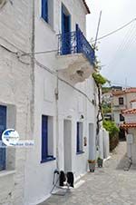 Batsi | Island of Andros | Greece  | Photo 42 - Photo GreeceGuide.co.uk