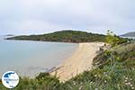 beach near Batsi | Island of Andros | Greece  | Photo 1 - Photo GreeceGuide.co.uk