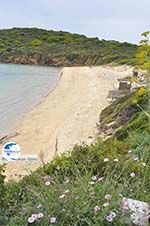 beach near Batsi | Island of Andros | Greece  | Photo 2 - Photo GreeceGuide.co.uk