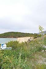 beach near Batsi | Island of Andros | Greece  | Photo 5 - Photo GreeceGuide.co.uk