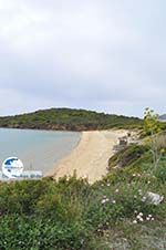 beach near Batsi | Island of Andros | Greece  | Photo 6 - Photo GreeceGuide.co.uk