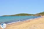 beach Kypri (Golden Beach) near Batsi | Island of Andros | Greece  Photo 003 - Photo GreeceGuide.co.uk