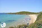 beach Kypri (Golden Beach) near Batsi | Island of Andros | Greece  Photo 006 - Photo GreeceGuide.co.uk