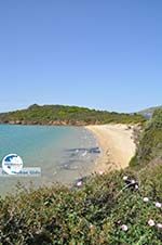 beach Kypri (Golden Beach) near Batsi | Island of Andros | Greece  Photo 008 - Photo GreeceGuide.co.uk