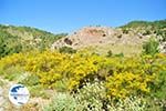 nature near Achata Beach | Greece  | Island of Karpathos - Photo GreeceGuide.co.uk