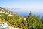 nature in the oosten of Karpathos | Greece  006 - Photo GreeceGuide.co.uk