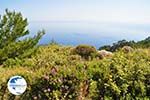 nature in the oosten of Karpathos | Greece  007 - Photo GreeceGuide.co.uk