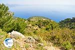 nature in the oosten of Karpathos | Greece  008 - Photo GreeceGuide.co.uk