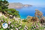 Apela Beach (Apella) | Karpathos island | Dodecanese | Greece  Photo 009 - Photo GreeceGuide.co.uk