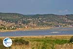 Natuurgebied voor vogels at The bay of Kalloni Photo 2 - Photo GreeceGuide.co.uk