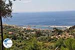 The jachtThe harbour of Pythagorion - Island of Samos - Photo GreeceGuide.co.uk