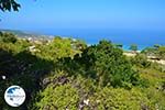 View to Raches Ikaria | Greece Photo 3 - Photo GreeceGuide.co.uk