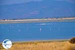 Bay Kalloni Lesbos | Greece | Greece  7 - Photo GreeceGuide.co.uk