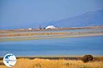 Bay Kalloni Lesbos | Greece | Greece  11 - Photo GreeceGuide.co.uk