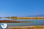 Bay Kalloni Lesbos | Greece | Greece  14 - Photo GreeceGuide.co.uk