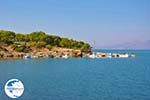 Bay Kalloni Lesbos | Greece | Greece  18 - Photo GreeceGuide.co.uk