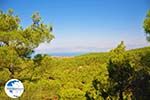 Near Waterfalls Pesas | Lesbos Greece | Greece  15 - Photo GreeceGuide.co.uk