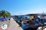 Skala Kallonis Lesbos | Greece | Greece  23 - Photo GreeceGuide.co.uk