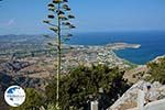 Kolymbia Rhodes - Island of Rhodes Dodecanese - Photo 679 - Photo GreeceGuide.co.uk