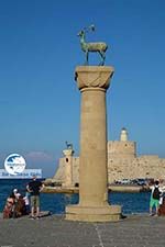 Rhodes town - Rhodes - Island of Rhodes Dodecanese - Photo 1523 - Photo GreeceGuide.co.uk