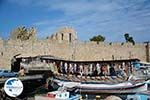 Rhodes town - Rhodes - Island of Rhodes Dodecanese - Photo 1538 - Photo GreeceGuide.co.uk