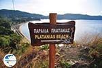 Aghia Paraskevi (Platanias beach) | Skiathos Sporades | Greece  Photo 1 - Photo GreeceGuide.co.uk