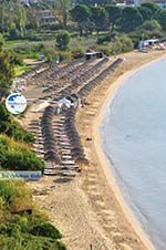 Aghia Paraskevi (Platanias beach) | Skiathos Sporades | Greece  Photo 6 - Photo GreeceGuide.co.uk