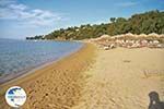 Aghia Paraskevi (Platanias beach) | Skiathos Sporades | Greece  Photo 11 - Photo GreeceGuide.co.uk