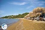 Aghia Paraskevi (Platanias beach) | Skiathos Sporades | Greece  Photo 16 - Photo GreeceGuide.co.uk