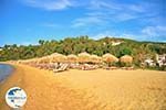 Aghia Paraskevi (Platanias beach) | Skiathos Sporades | Greece  Photo 18 - Photo GreeceGuide.co.uk