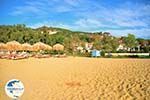 Aghia Paraskevi (Platanias beach) | Skiathos Sporades | Greece  Photo 19 - Photo GreeceGuide.co.uk