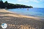 Aghia Paraskevi (Platanias beach) | Skiathos Sporades | Greece  Photo 26 - Photo GreeceGuide.co.uk