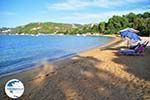 Aghia Paraskevi (Platanias beach) | Skiathos Sporades | Greece  Photo 27 - Photo GreeceGuide.co.uk