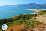 Golden beach Euboea | Marmari Euboea | Greece Photo 13 - Photo GreeceGuide.co.uk